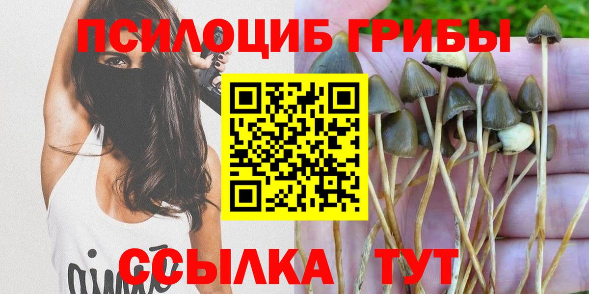 Томск  Галлюциногенные грибы мухоморы  Вход с VPN 