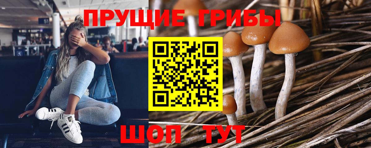 Псилоцибиновые грибы Magic Shrooms Томск